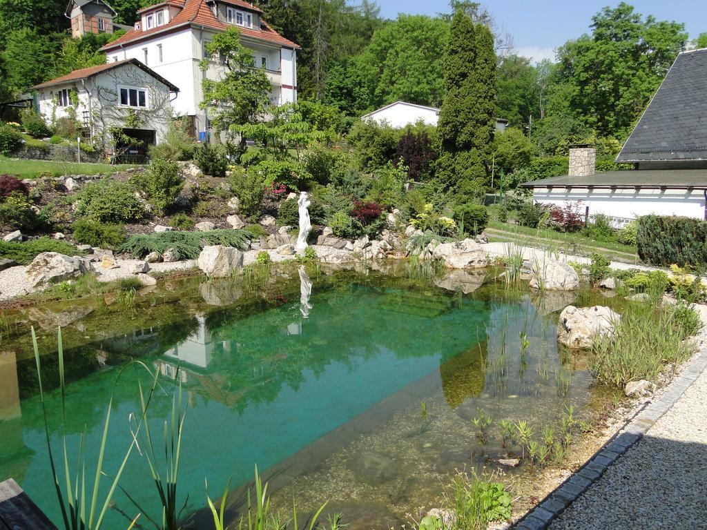 Pension Villa Am Burgberg Waltershausen Dış mekan fotoğraf